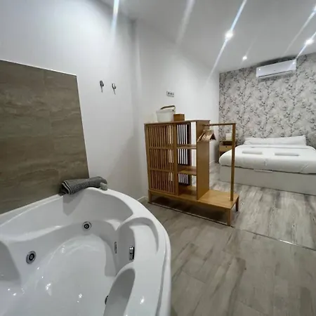 Apartment Loft San Carlos *